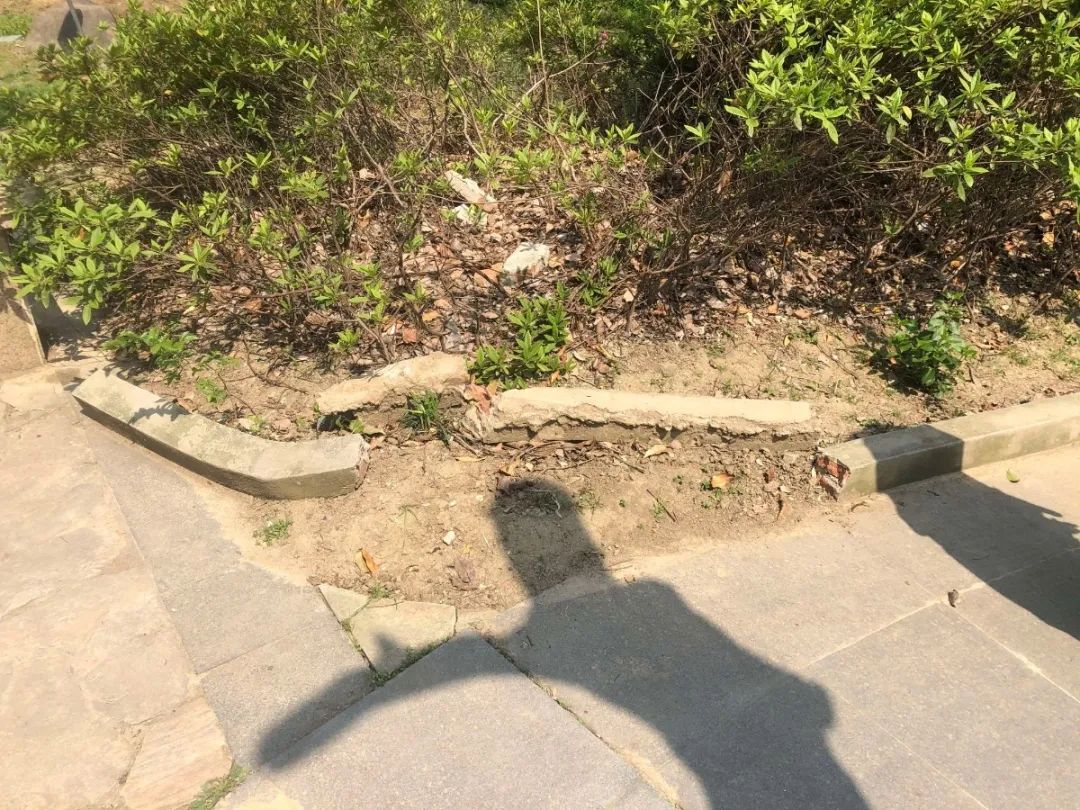 微信图片_20200421221740.jpg