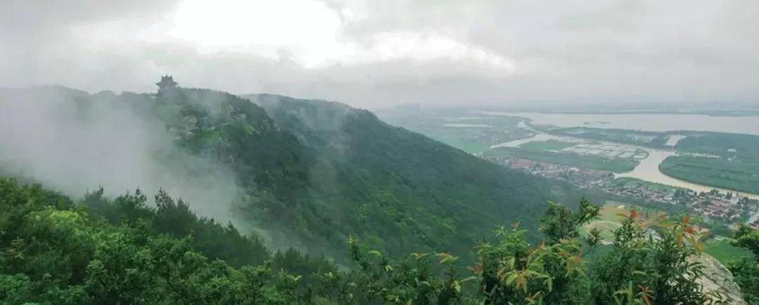 微信图片_20200422141726.jpg