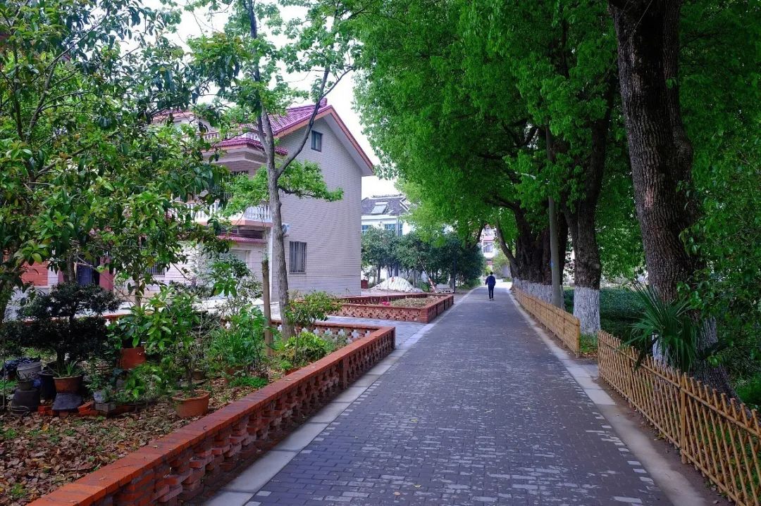微信图片_20200519184908.jpg