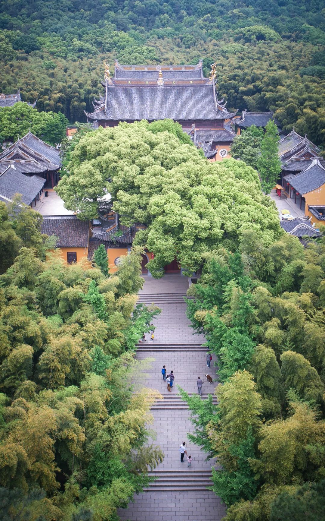 微信图片_20200525193247.jpg
