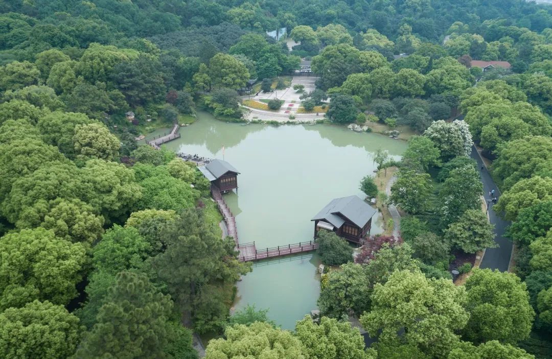 微信图片_20200525193323.jpg