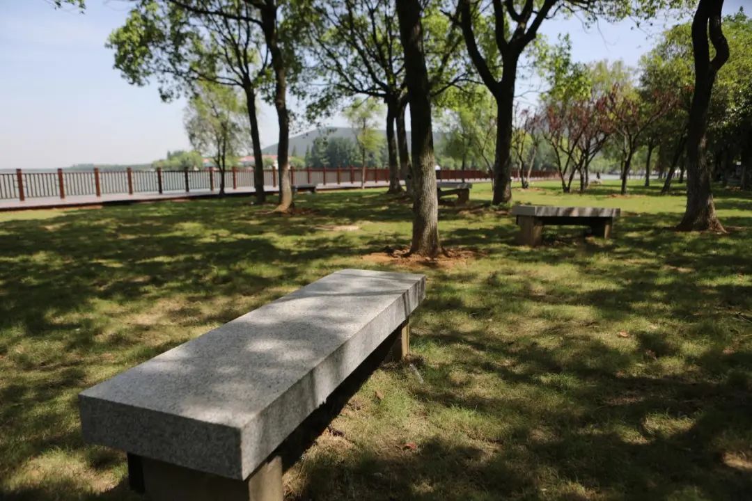 微信图片_20200616191847.jpg