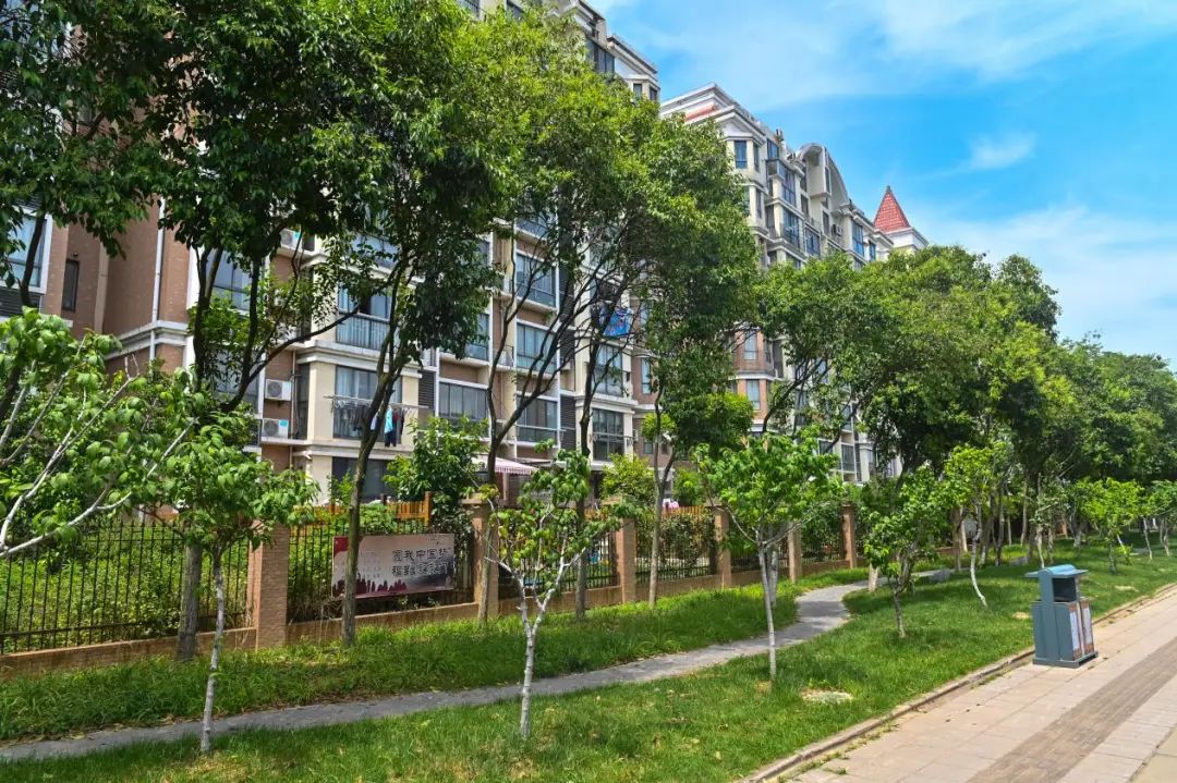 微信图片_20200616192053.jpg