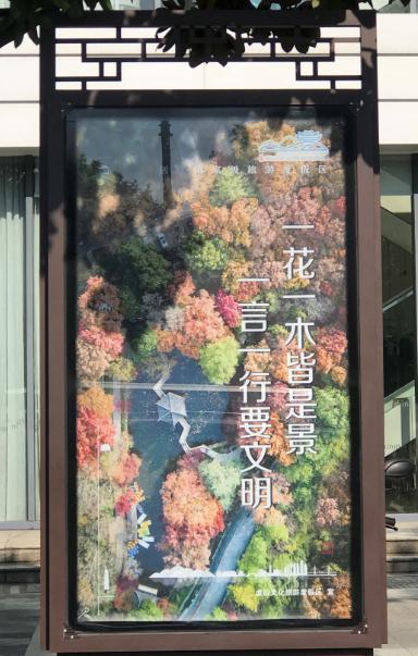 图片13.jpg