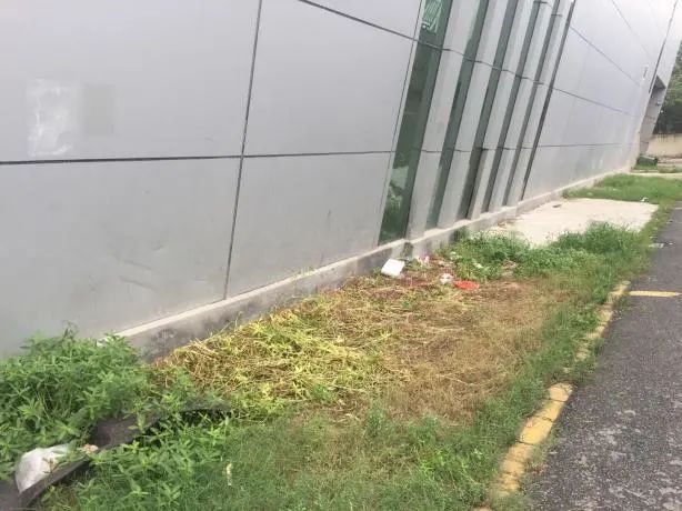 微信图片_20200720183908.jpg