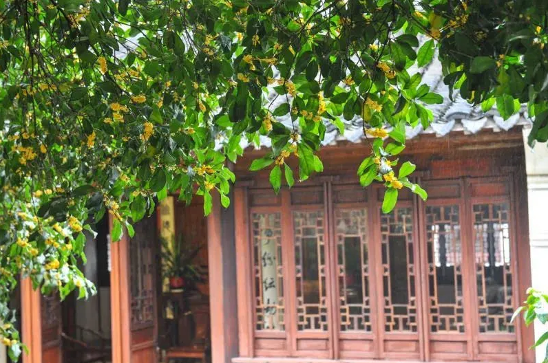 QQ截图20200922090234.png