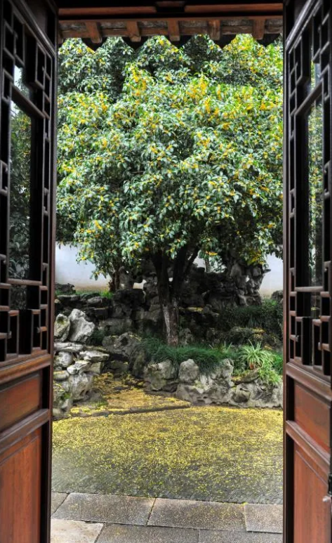 QQ截图20200922091133.png