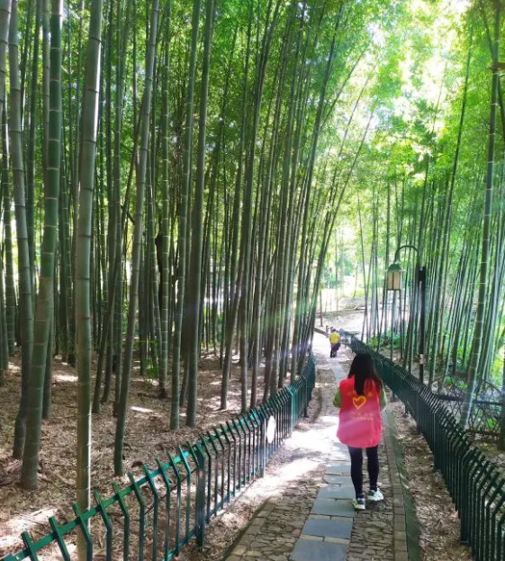 QQ截图20201015163438.png