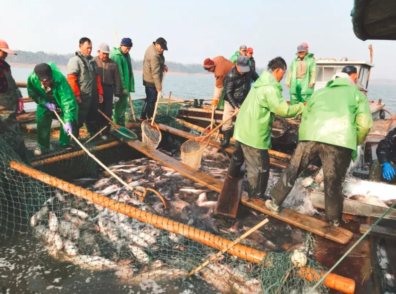 微信图片_20201222201106.png