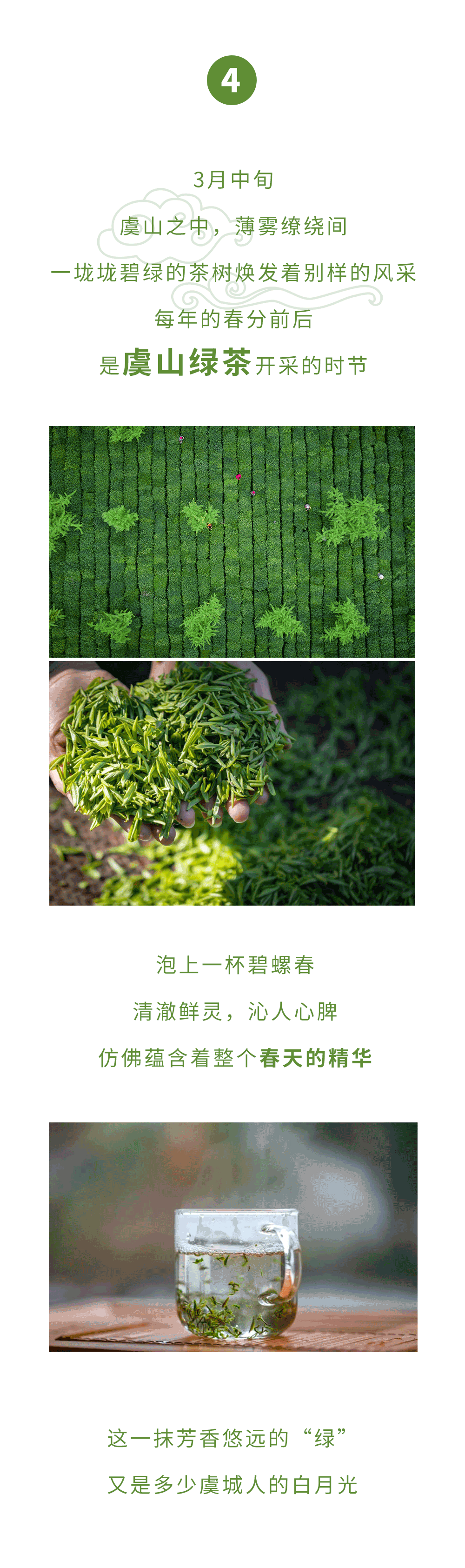 绿6.gif